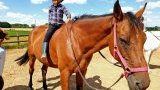 Stages d'équitation