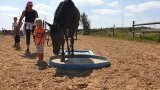 Stages d'équitation